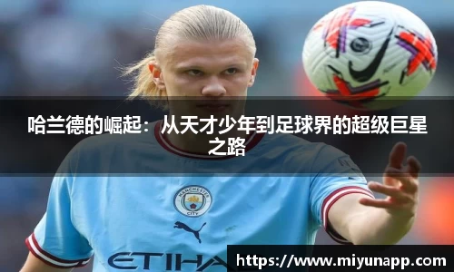 熊猫体育官网